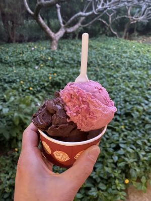 Hibiscus & dark chocolate vegan scoops  at Papalani Gelato in Koloa