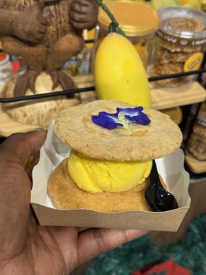   at COCO MANGO - Prapokkloa Rd in Chiang Mai