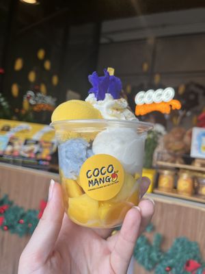 Coco Mango ice cream tub  at COCO MANGO - Prapokkloa Rd in Chiang Mai