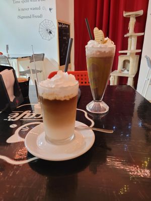 Iced coconut latte with vegan whip and oreo milkshake with coconut milk, vegan whip and pistachio sprinkles at Cat Cafè di Chry in Cagliari
