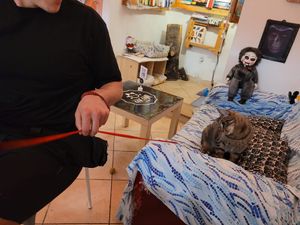  at Cat Cafè di Chry in Cagliari