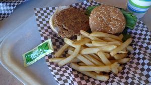 vegan burger with fries and relish at Maswick Cafeteria in Grand Canyon Village