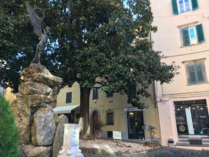 Restaurant  at Nanda's in Lucca