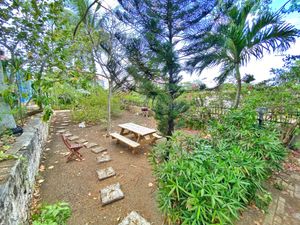 Relax in the gardens at Sugar Apple Bed and Breakfast in St Croix