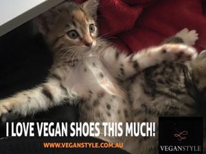 Because vegan shoes are awesome!  at Vegan Style - Online only in West Footscray