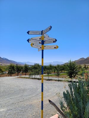  at Stettyn Family Vineyards in Western Cape