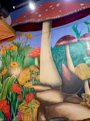   at Alice & Friends at The Glen in Glenview