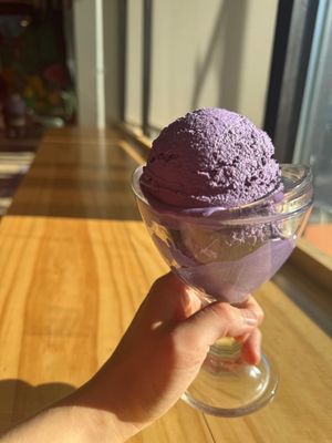 Ube Ice Cream at Alice & Friends at The Glen in Glenview