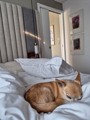  at Hôtel Pilgrim in Paris