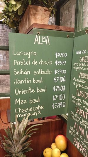 dishes at Alma Vegan Food in Santiago