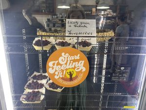 Fresh local berries not in plastic! at Sprout Eden in Eden