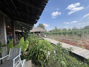 蕃茄園  at Tawe Farm Khaoyai - ตาวีฟาร์มเขาใหญ่ in Pak Chong