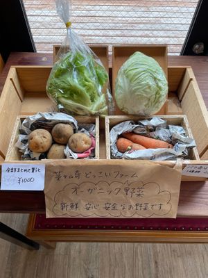 Veggies at Cafe Hinode Falafel Chigasaki in Chigasaki