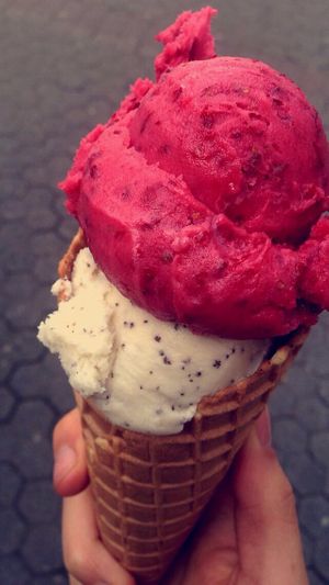 vegan ice cream at Schweiger's Mint in Frankfurt