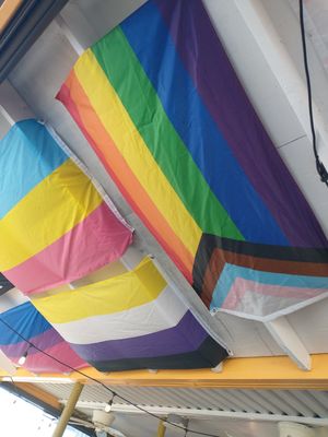 Flags! at The Root Cafe in Little Rock