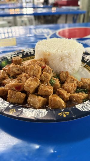 Stir fried tempeh with holy basill  at VEXY Vegan in Bangkok
