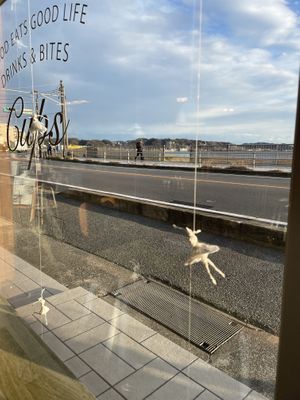 View to the ocean  at CUPS in Kamakura