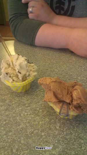 Vegan gelato at Humani-T Cafe - North End in Halifax