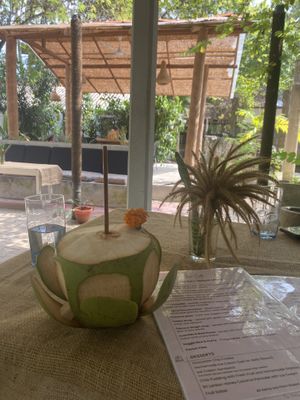 Fresh coconut  at Spa Una & Eco Café in Unawatuna
