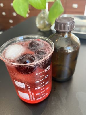   at FIKA LAB in Leuven