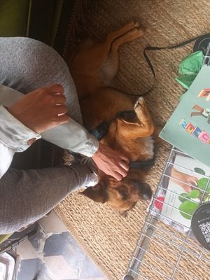  at FIKA LAB in Leuven