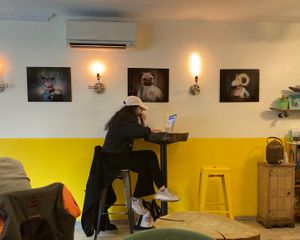 "They call me Mellow Yellow..." at Mellow Yellow Coffee and Vibes in New York City