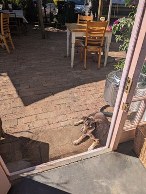  at Pure Cafe in Greyton