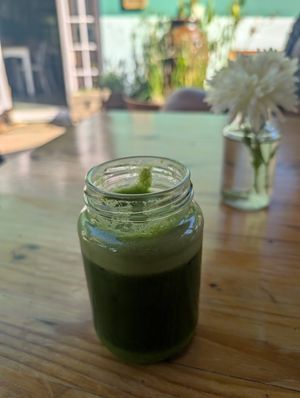 Jungle Tonic at Pure Cafe in Greyton