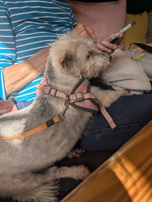  at Pure Cafe in Greyton