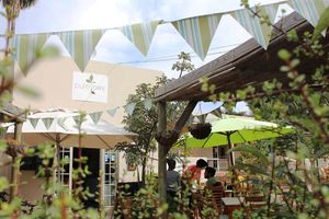 Plants, fountains, gazebos and comfortable seating, indoors and outdoors, create a cool, fresh ambiance for our diners at Pure Cafe in Greyton