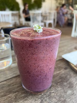   at Wildsprout in Constantia