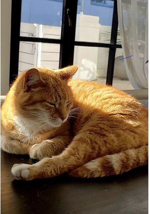  at Nourish'd Café Green Point in Cape Town