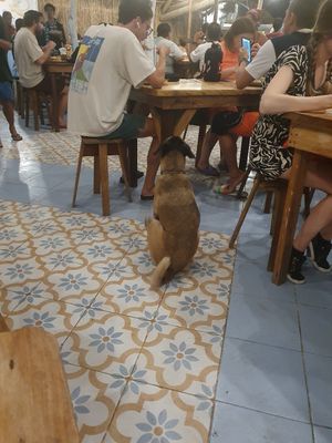  at Kurvada in Siargao