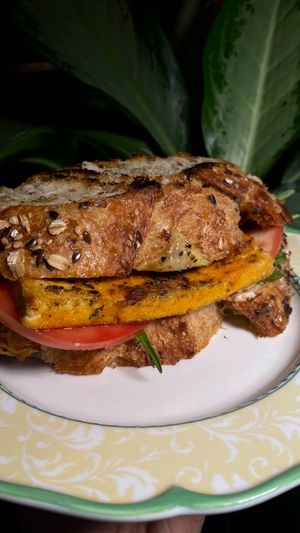 PANINI SANDWICH • 19 GEL

sandwich with grilled bread, tomato basil aioli, tofu, arugula, sun-dried tomato sauce, cheese and fresh tomato
 at Lutra Lutra Bar in Tbilisi