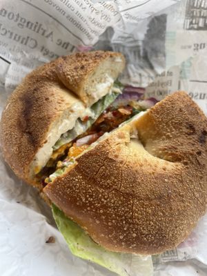 13 Boston City Hall  at Manhattan Bagel & Coffee Co in Boston