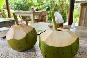 Refreshingg  at The Shala Bali in Ubud