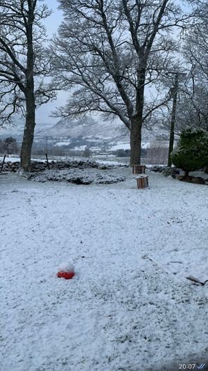 Our back garden with incredible mountain views where you can sit and unwind after a busy day  at Lane Head Farm Country Guest house  in Penrith