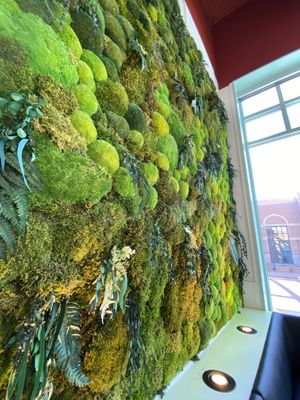 Wall of living plants   at Whole Harvest Kitchen in Leawood