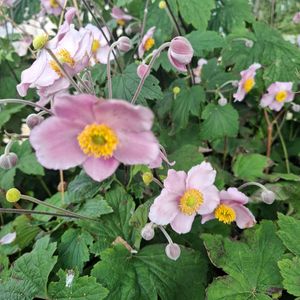  at FarmED in Chipping Norton