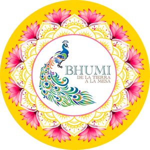  at Bhumi Vegan Food in Pucon