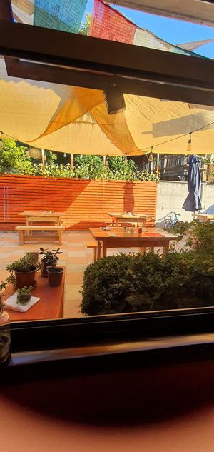  at Bhumi Vegan Food in Pucon