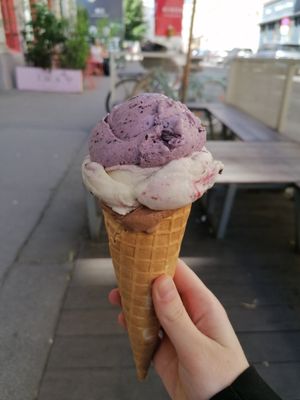 Chocolate, black forrest, and lavender scoops at Veganista Ice Cream I in Vienna