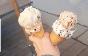  at Veganista Ice Cream I in Vienna