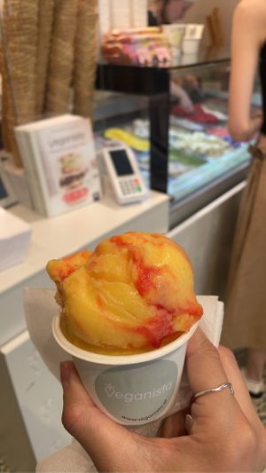 Fresh fruit juice ice cream  at Veganista Ice Cream I in Vienna