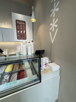   at Veganista Ice Cream I in Vienna