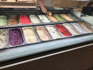 All the flavors at Veganista Ice Cream I in Vienna