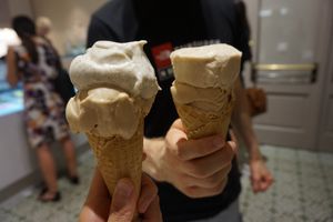 Maple pecan with vanilla, and maple pecan with oat cinnamon at Veganista Ice Cream I in Vienna