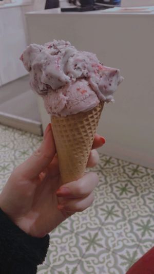 The best  at Veganista Ice Cream I in Vienna