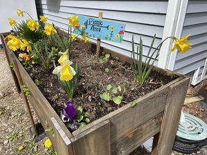 Cute area to eat outside   at White Heron Tea & Coffee in Eliot