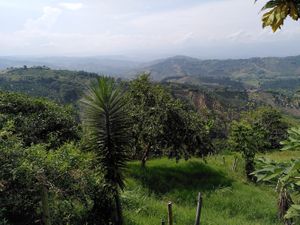 Vista #Veganuary at Amanda  in Manizales